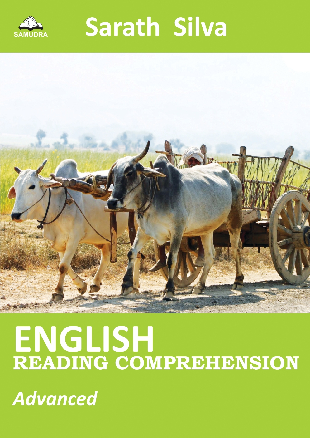 English Reading Comprehension